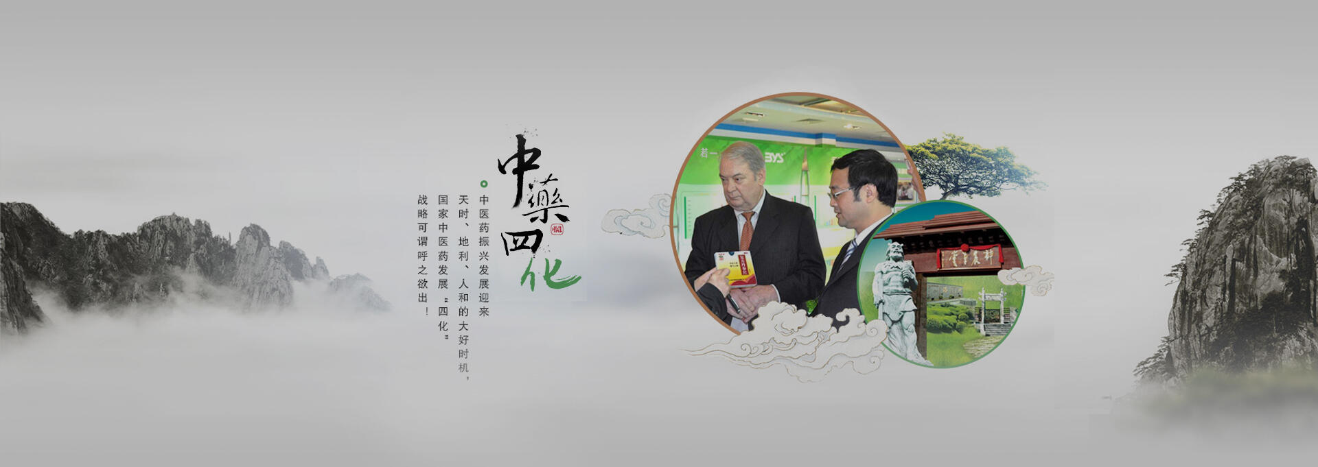 凉州建站-若一医药科技